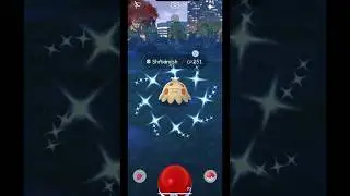 Shroomish Spotlight Hour Insane Shiny Pokemon And Stardust Event!!!