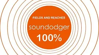 Fields And Reaches - SOUNDODGER+ (100% Score)