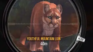 Hunting In Sedona - Deer Hunter 2020 Ep98