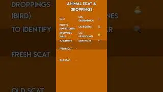 Spanish for Animal Scat & Droppings! 💩 Nature Vocabulary