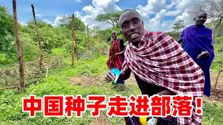 中国种子引进部落！酋长亲自到场，撒下种子那一刻，新的希望来了