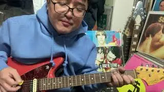  【guitar COVER】horror show/ THE LIBERTINES  #LIBERTINES  #リバティーンズ　　#petedoherty   ピートドハーティ