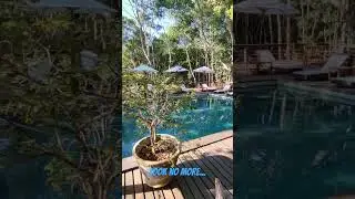 Amazonas best Jungle Resort - Anavilhanas Jungle Lodge