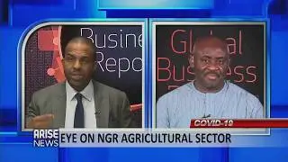 COVID-19 and Nigeria's Agricultural Sector: Options and Imperatives