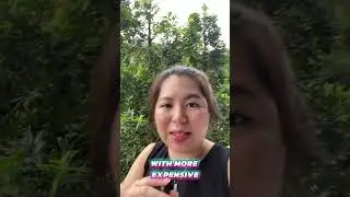 Why Sell and Buy HDB might not work!