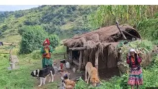 himalaya mountain  village  life in npali