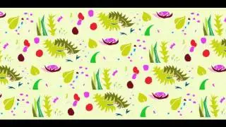 PAIO  (ETNICA) -  Moderando