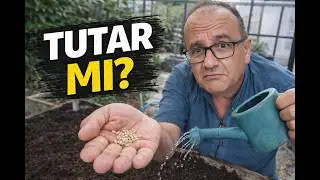 Kamboçya'da Türk Tohumuyla Hobi Bahçesi Yaptım! Acaba Tohumlar Çıkacak mı?