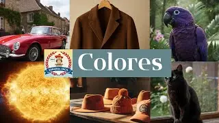 Learning Colors in Spanish Doesn't Suck!