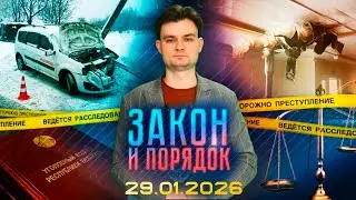 Закон и порядок. Полочанин убил собаку. Пожары. ДТП на Витебщине (29.01.2026)