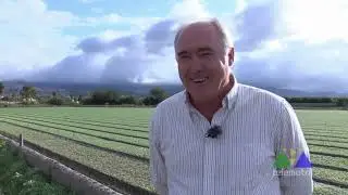 Entrevista a Miguel Monferrer, secretario Provincial de COAG Granada, en Telemotril