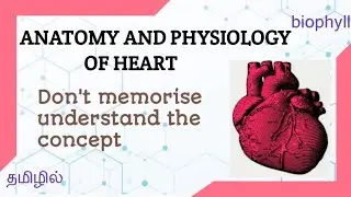 Смежные медицинские науки | Анатомия и физиология сердца на тамильском языке |