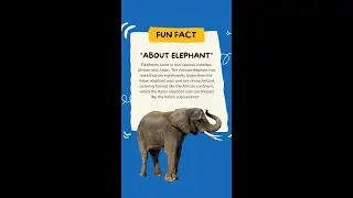 Lifecycle of Elephant | Big Elephant | Elephant life cycle diagram 2023 | Around the world