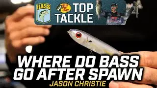 How to catch bass that just left the bed