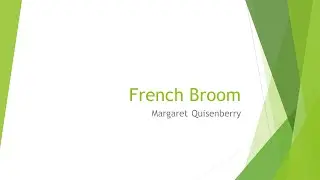 Eden: French Broom Dye Project