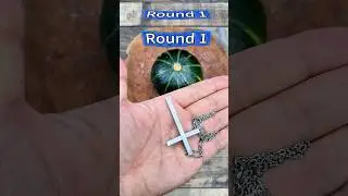 Which one do you like?