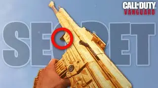Secret Features in Vanguard Multiplayer...