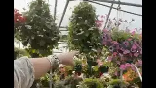 Welcome Come Along as We Tour Whitaker Farms in Climax NC