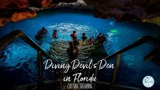 Diving Devil's Den in Florida   A Contrasting Underworld of Light and Dark