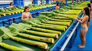 Inside the Largest High Tech Banana Stem Factory You've Never Seen Before Full Process