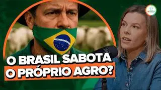 O QUE TRAVA A EVOLU&Ccedil;&Atilde;O DA PECU&Aacute;RIA NO BRASIL? - MF CAST #99