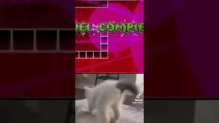 ааааааааааааа