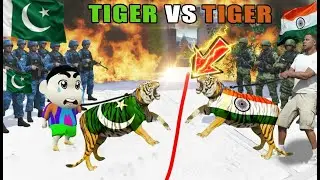 Franklin Tries to Catch a Rare White Tiger vs SHINCHAN Tiger in GTA 5