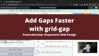 Add Gaps Faster with grid gap (CSS Grid) freeCodeCamp tutorial