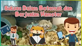 Etika Bagi Para Pecinta Peternak Penjual Hamster