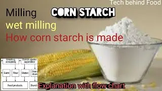 Corn starch production. How corn starch is made  Wet milling of corn starch Milling steps explained