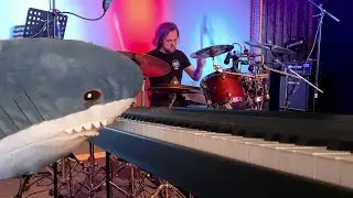 Haken - Cockroach King | Cover by Ape Feet Circle