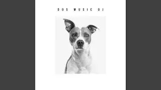 Lonely Dog Music