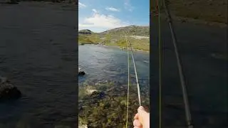 First cast & fish on, Greenland magic #flyfishing #fishingvideos #greenland