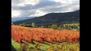 Let's Open a Bottle (Spanish Wine) - D.O. Bierzo