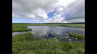 雨竜沼湿原でヒグマに遭遇？！