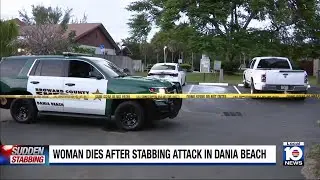 Man arrested after woman fatally stabbed in Dania Beach