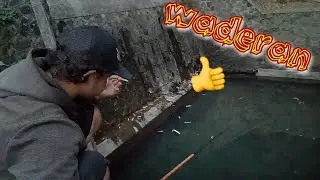 Mancing wader sore hari, spot mancing Sleman, Yogyakarta