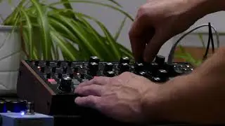 Moog Subharmonicon + M-Vave Mini Universe - Ambient Session #1