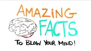 Interesting facts about women and men|| Speaking of psychology