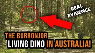 AUSTRALIA&rsquo;S LIVING DINOSAUR? | The Mystery of the Burronjor 🦖