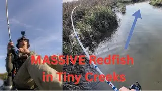 I Caught my PB Redfish TWICE -- How to Find HUGE Spring Inshore Redfish