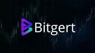 Bitgert might go 200% up in a month 🔥#bitgert  #bitcoin  #crypto