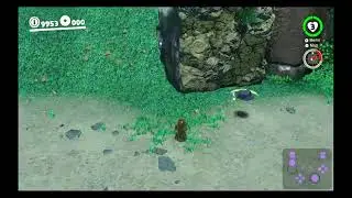 Database - Colossal Fossil