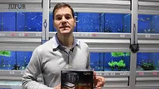¿Qué Bombas De Círculación Puedo Usar En Mi Acuario Marino?