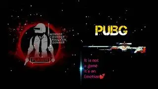 PUBG dj winner winner chicken dinner remix whatsapp status