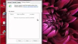 Fix ws2_32.dll error in Windows 7