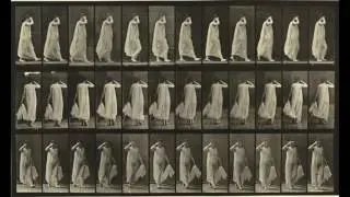 Animal Locomotion: Plate #31-40 (1884-1887) by Eadweard Muybridge