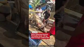 Baina fisherman Dominic Fernandes lands 120 kg Giant Grouper (Gobro) fish