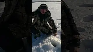 ОТЛИЧНАЯ КОРЮШКА #рыбалка #fishing