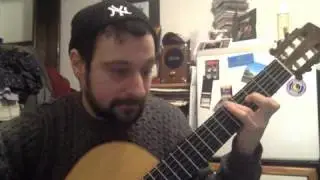 sean satin guitar 